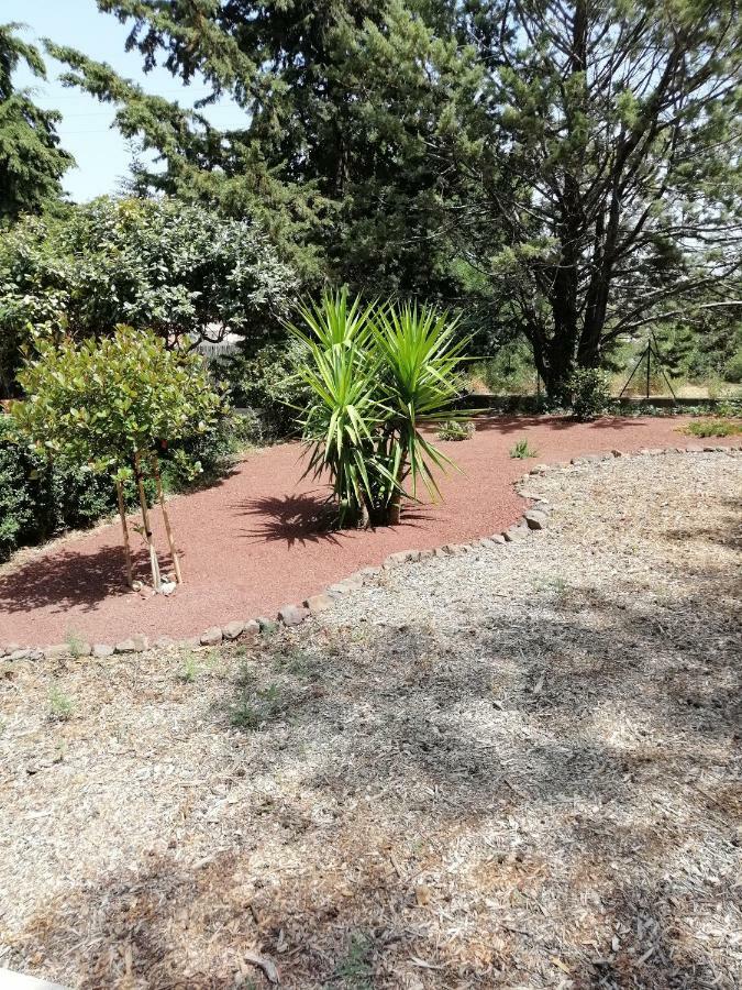 Villa Les Jasmins De Salelles Le Bosc  Exterior foto